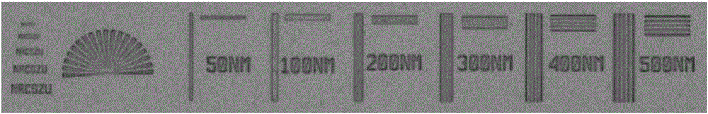 Raman spectrum imaging resolution target and preparation method thereof