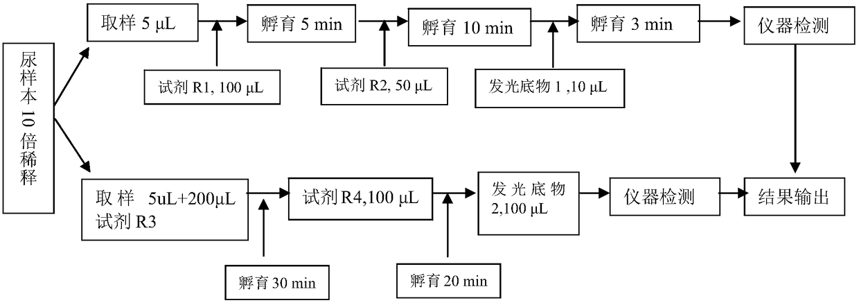 A urine microalbumin/urine creatinine detection kit