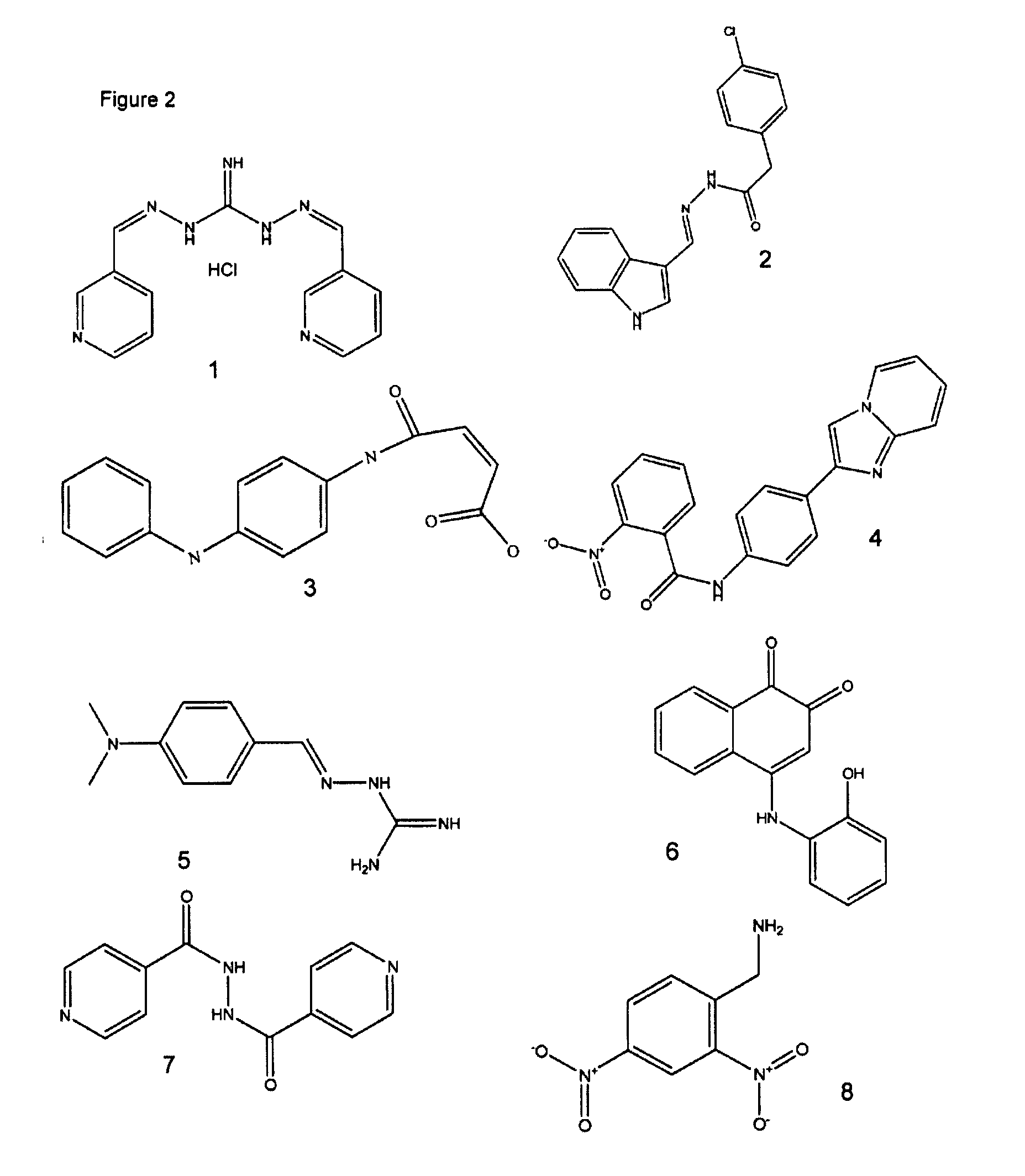 Heme oxygenase inhibitors, screening methods for heme oxygenase inhibitors and methods of use of heme oxygenase inhibitors for antimicrobial therapy