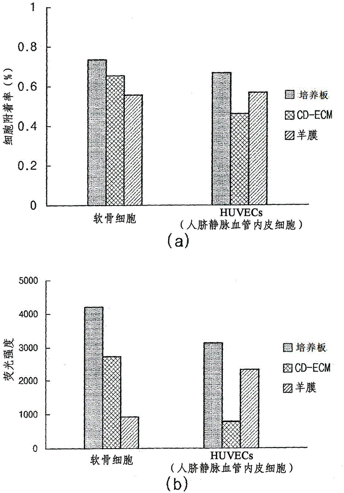 Composition for treating angiogenic diseases using extracellular matrix membrane of cartilage-derived cell, and transplant material for cornea or conjunctiva