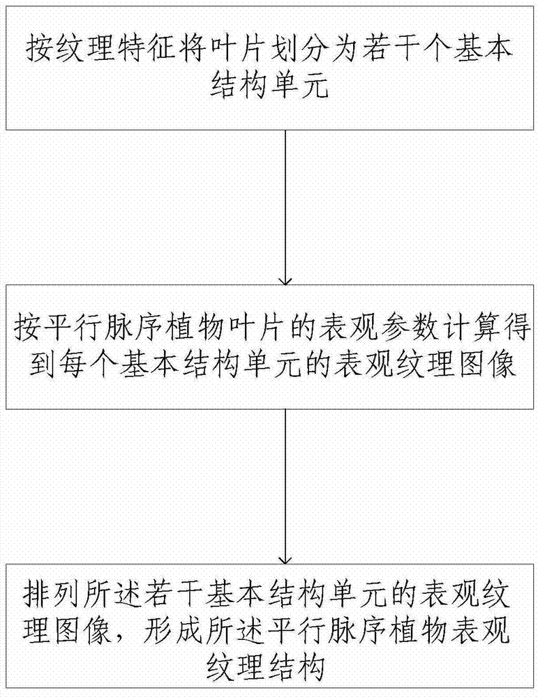 Synthesizing method and system for representation texture of parallel venation plant leaves