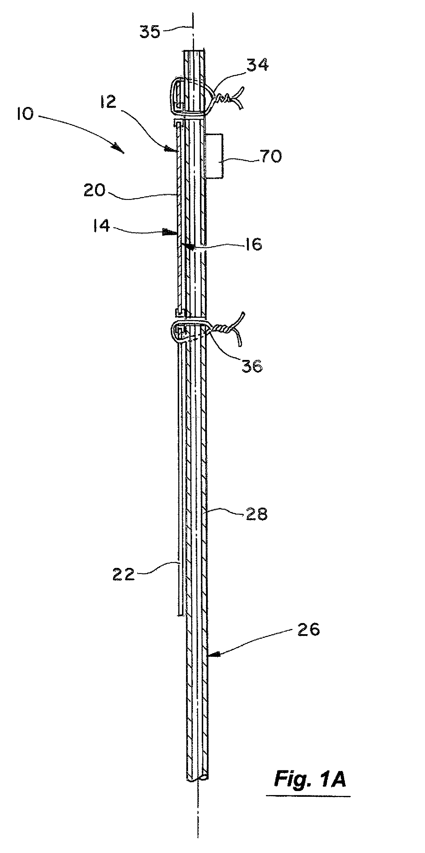 Device and system for attracting animals