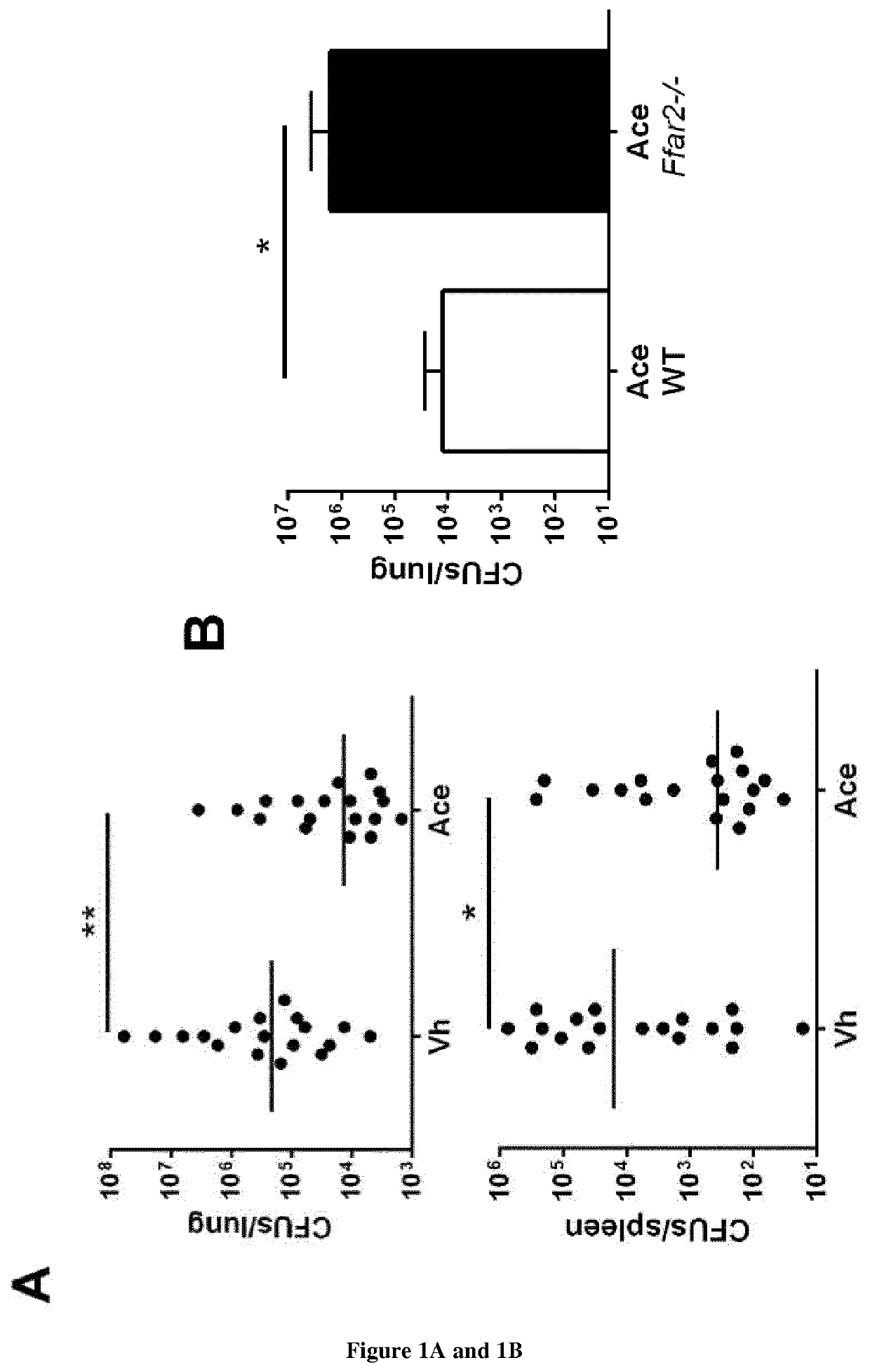 Use of short-chain fatty acids for the treatment of bacterial superinfections post-influenza