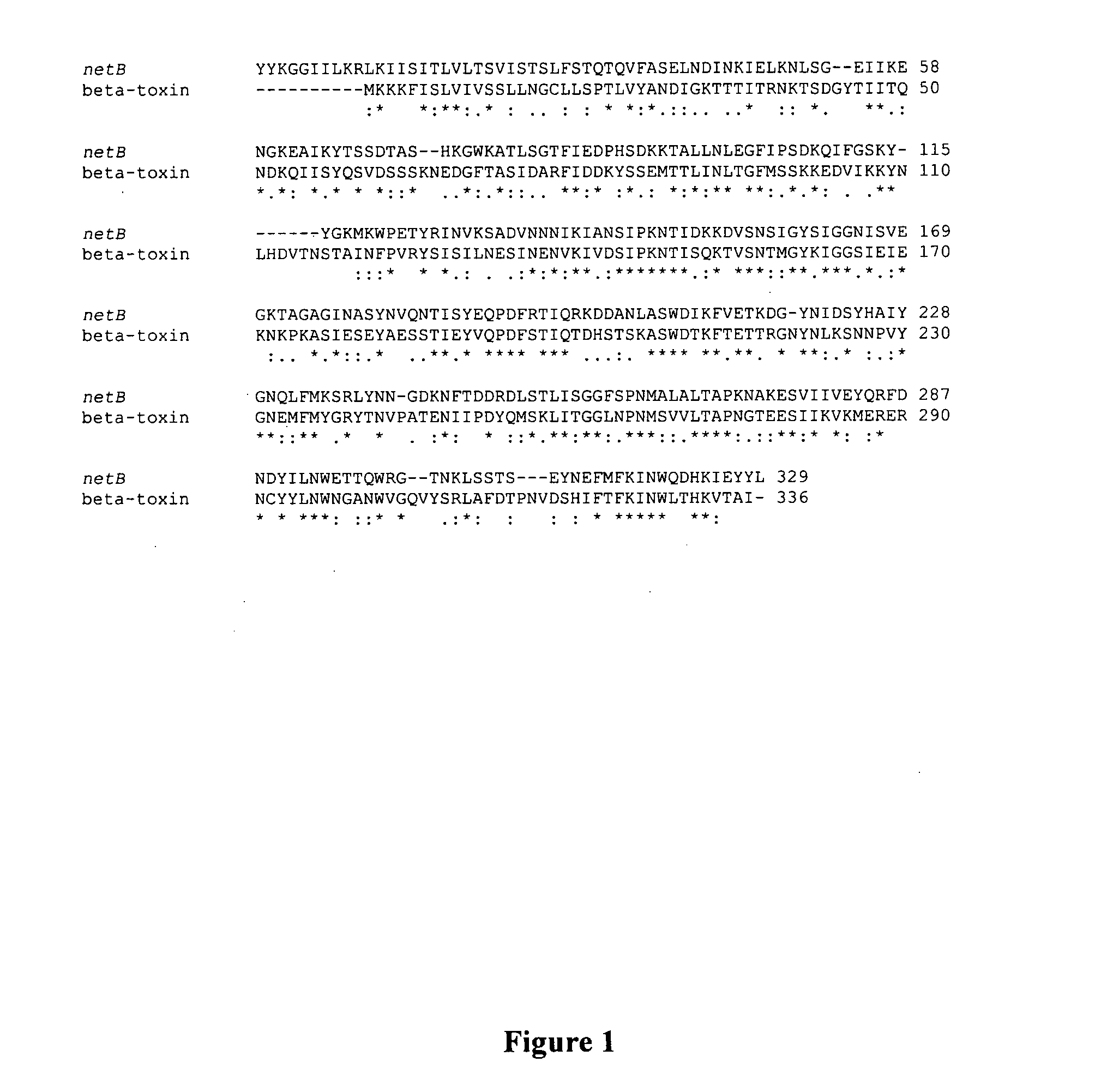 Clostridial toxin netb