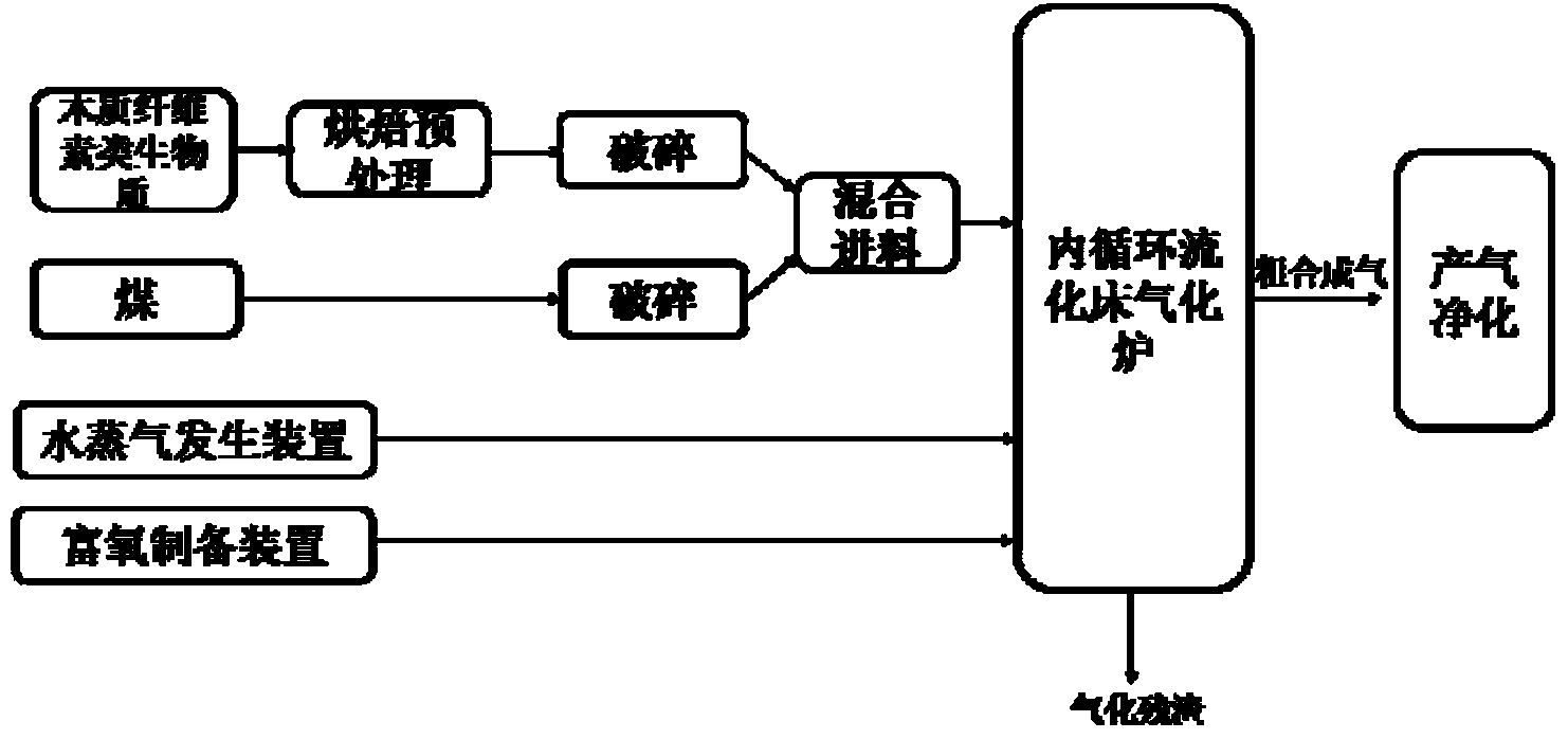 System and process for preparing synthetic gas through co-gasification of coal and biomass