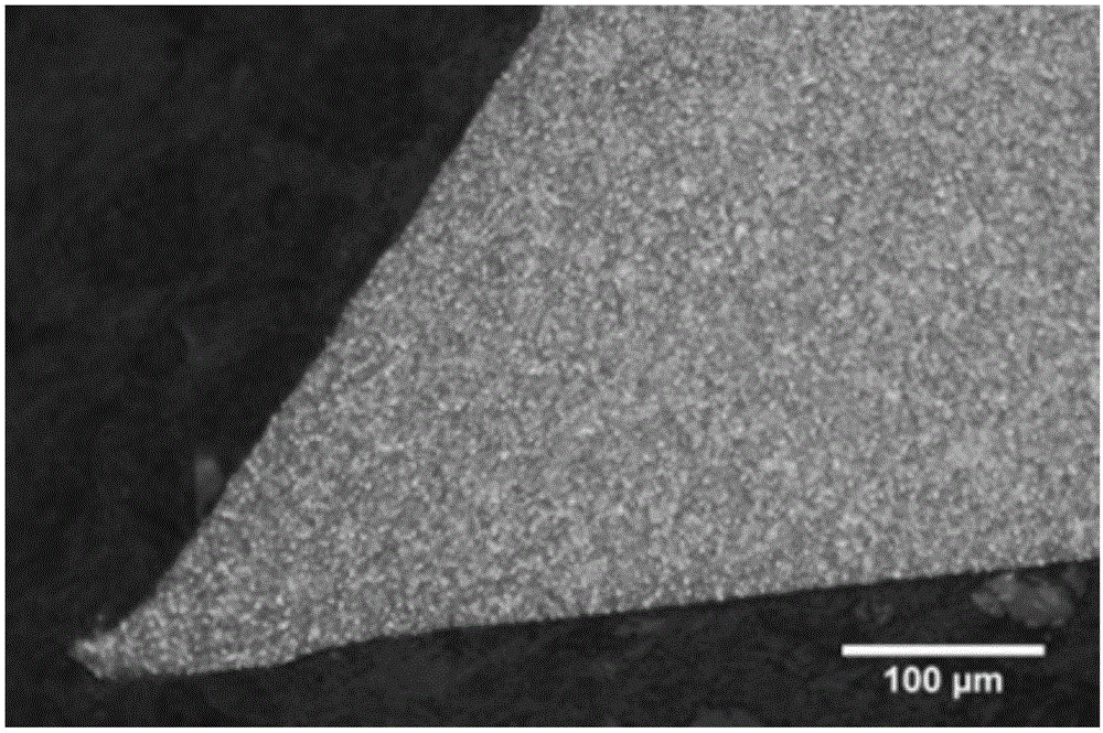 Band saw blade manufacturing method and band saw blade