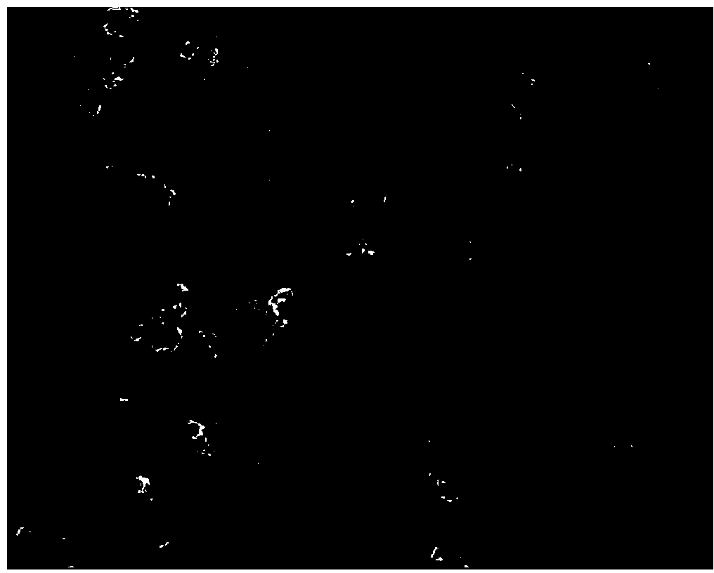 Method for synthesizing cobalt diselenide nanocrystal in polyalcohol-base solution