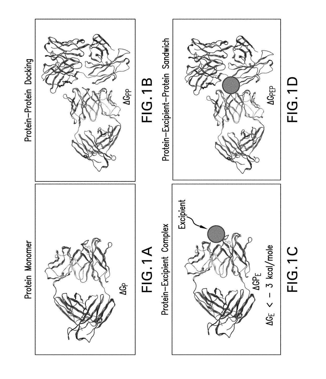 In silico process for selecting protein formulation excipients