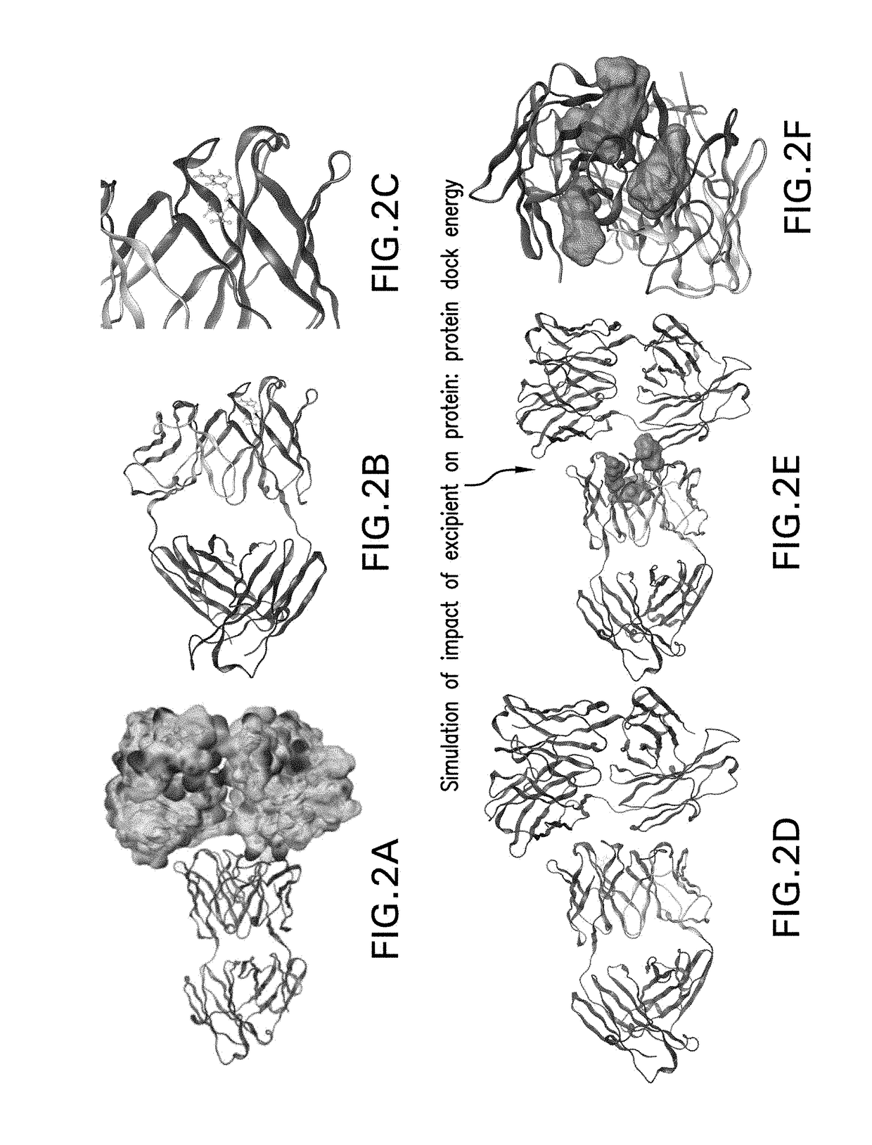 In silico process for selecting protein formulation excipients