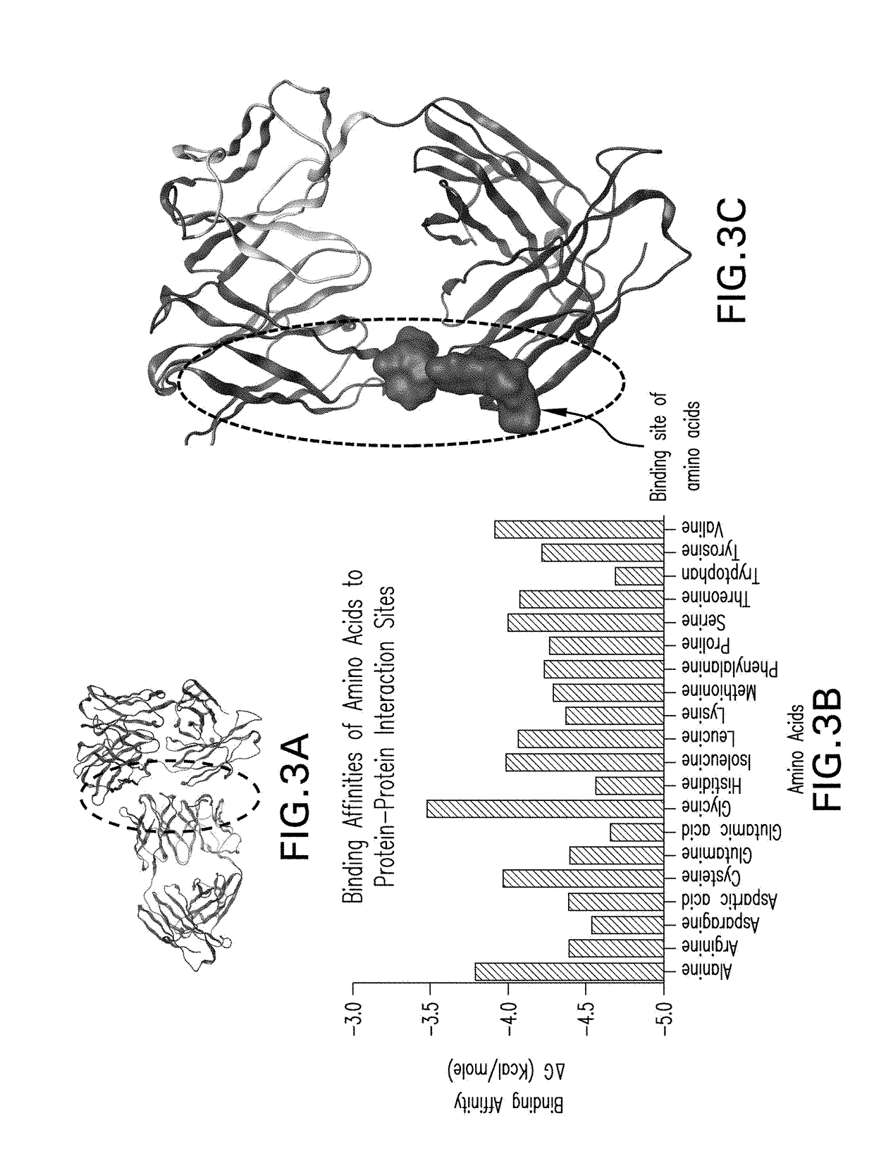 In silico process for selecting protein formulation excipients