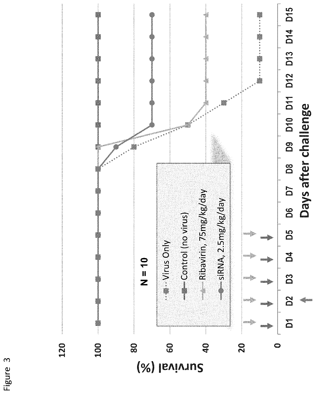 COMPOSITION AND METHODS OF RNAi PROPHYLACTICS AND THERAPEUTICS FOR TREATMENT OF SEVERE ACUTE RESPIRATORY INFECTION CAUSED BY  2019 NOVEL CORONAVIRUS (2019-nCoV)