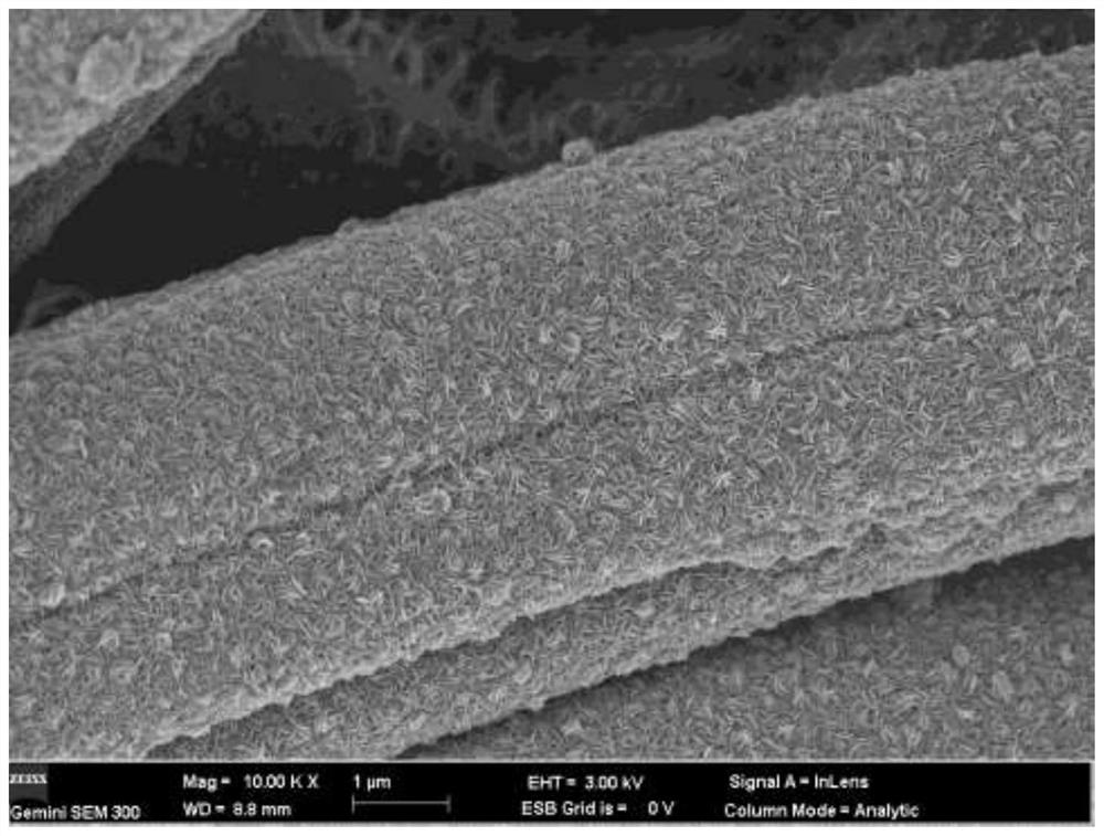 SnS2 nanosheet array structure with photo-thermal function and preparation method thereof