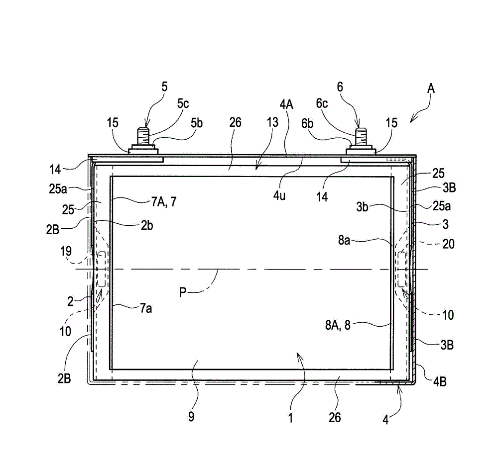 Electric storage device and insulation bag