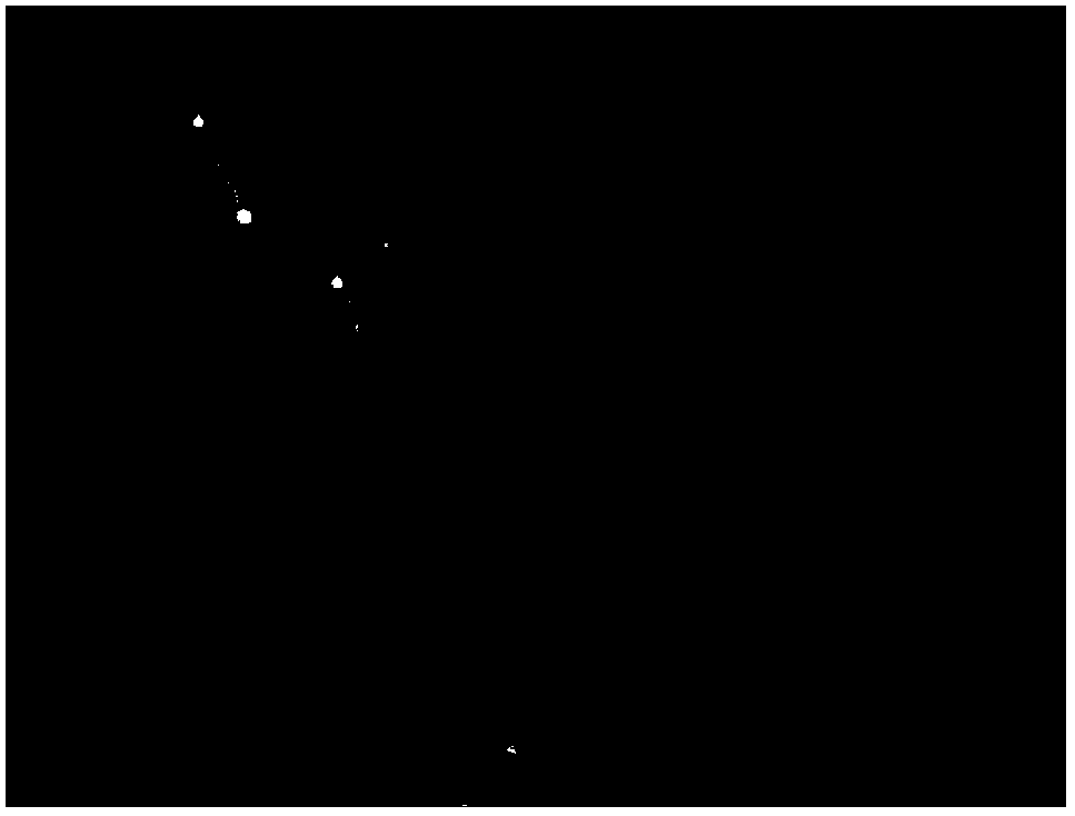 Application of compound in preparation of drug used for resisting Schistosomiasis japonicum