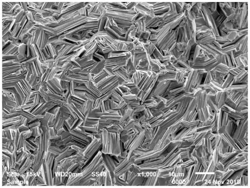 Preparation method of preferentially oriented n-type bismuth telluride-based polycrystalline bulk thermoelectric material