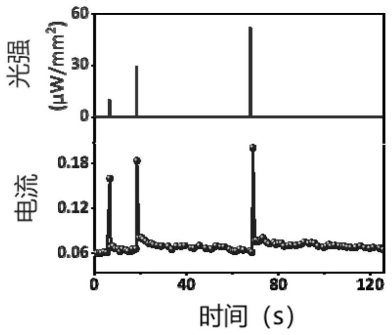 Arrayed neural network capable of artificially designing boundary based on two-dimensional material and preparation method and application thereof