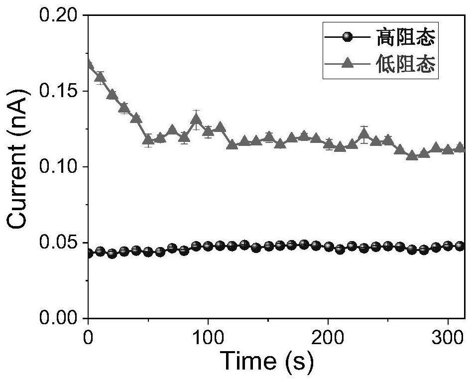 Arrayed neural network capable of artificially designing boundary based on two-dimensional material and preparation method and application thereof