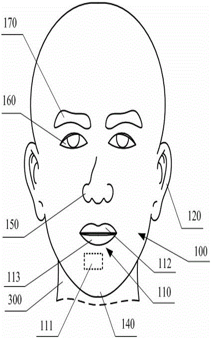 Human face simulation robot