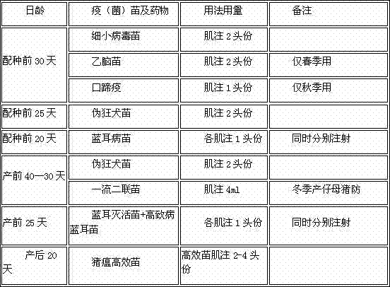 Sow raising method