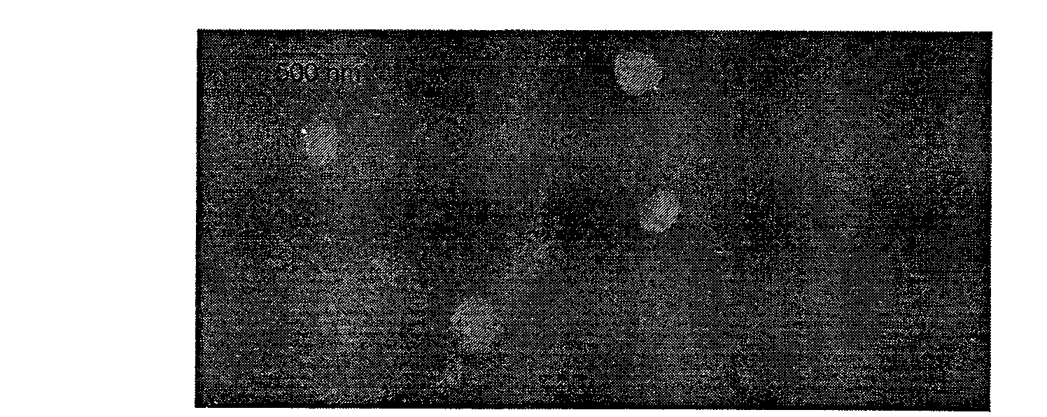 Silybin nanostructured lipid carrier and preparation method thereof