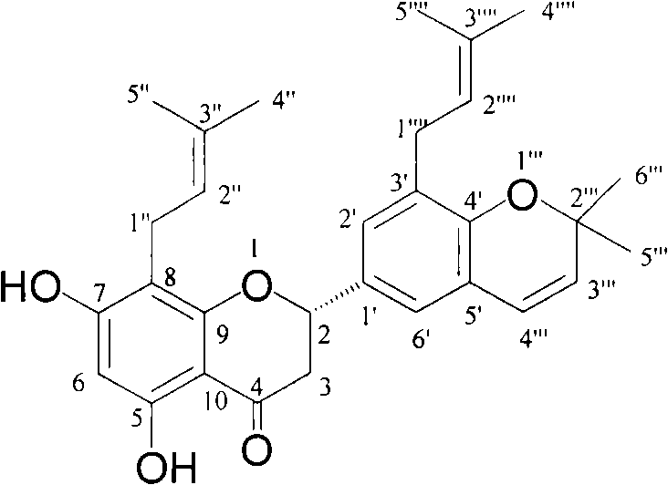 Novel flavonoid extracted from Maackia amurensis