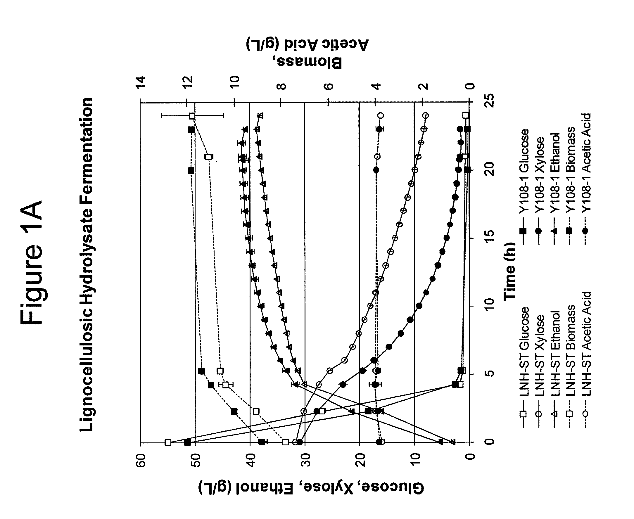 Modified yeast strains exhibiting enhanced fermentation of lignocellulosic hydrolysates