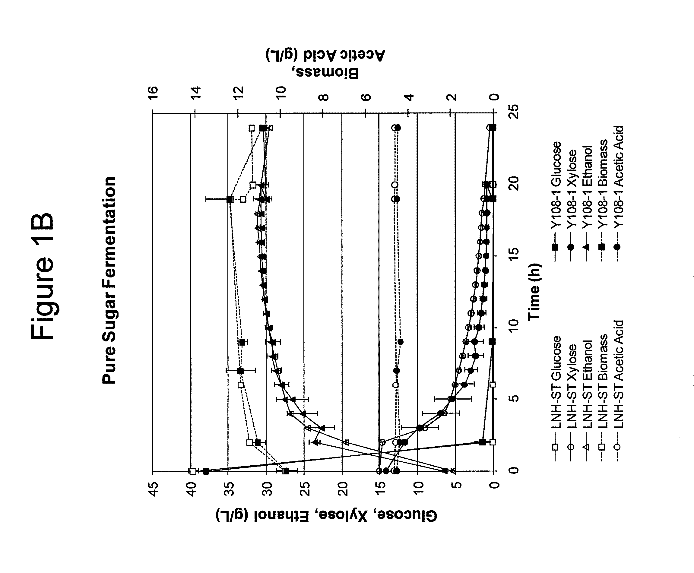 Modified yeast strains exhibiting enhanced fermentation of lignocellulosic hydrolysates