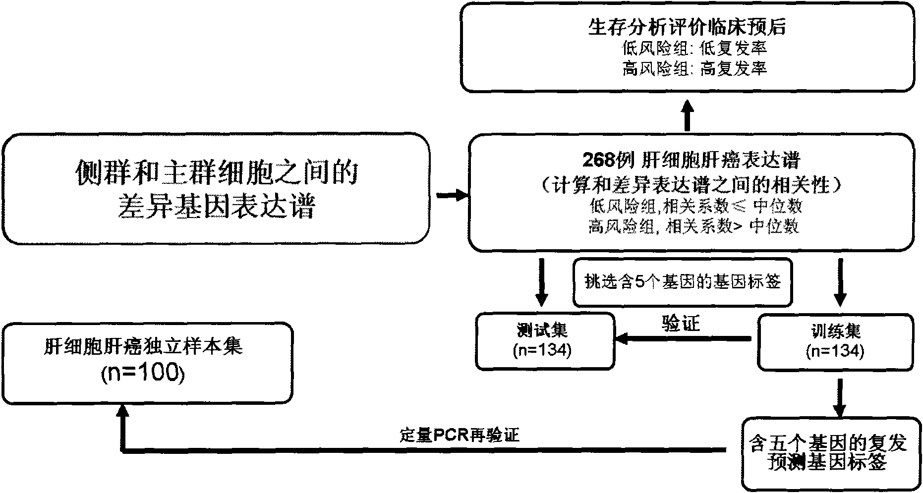 Gene chip of prediction of recurrence after hepatocellular carcinoma operation