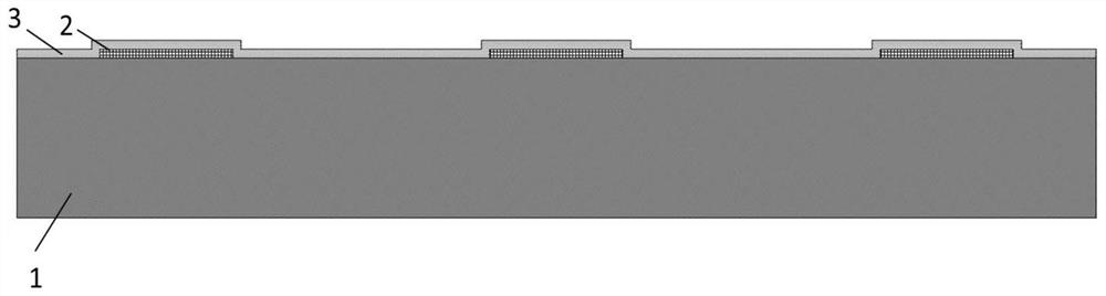 A kind of graphene detector and preparation method thereof