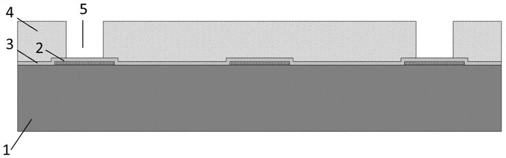 A kind of graphene detector and preparation method thereof