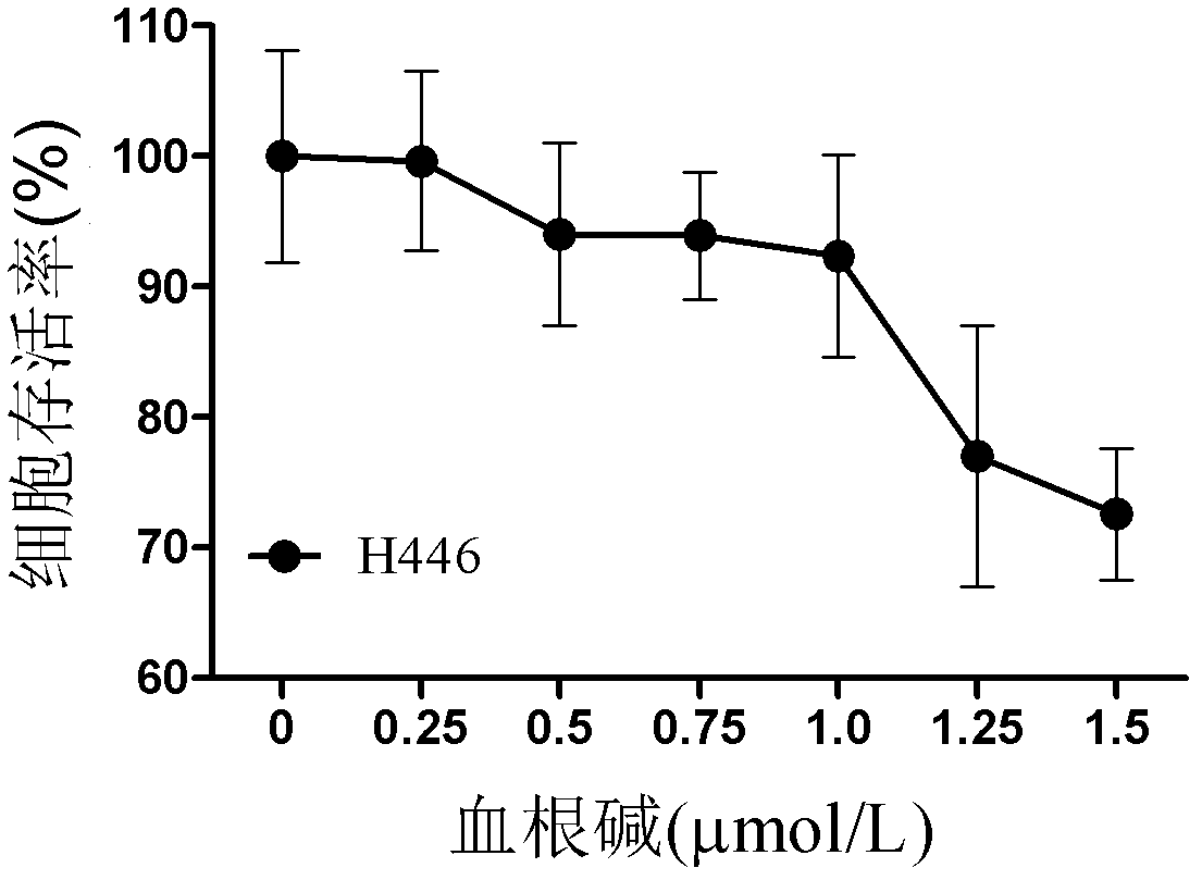 Application of sanguinarine in the preparation of sensitizing drugs for improving the antitumor efficacy of cisplatin