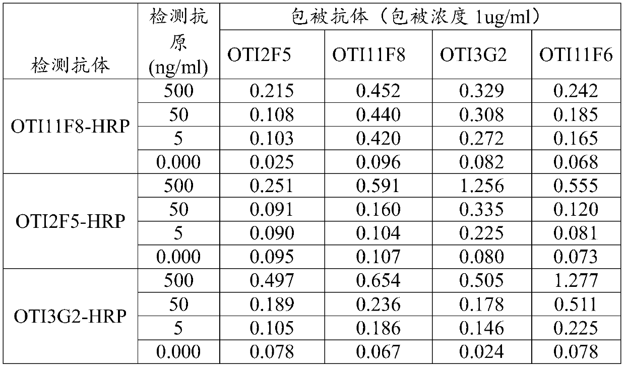 Monoclonal antibody against human neurofilament light polypeptide (NEFL) and application thereof