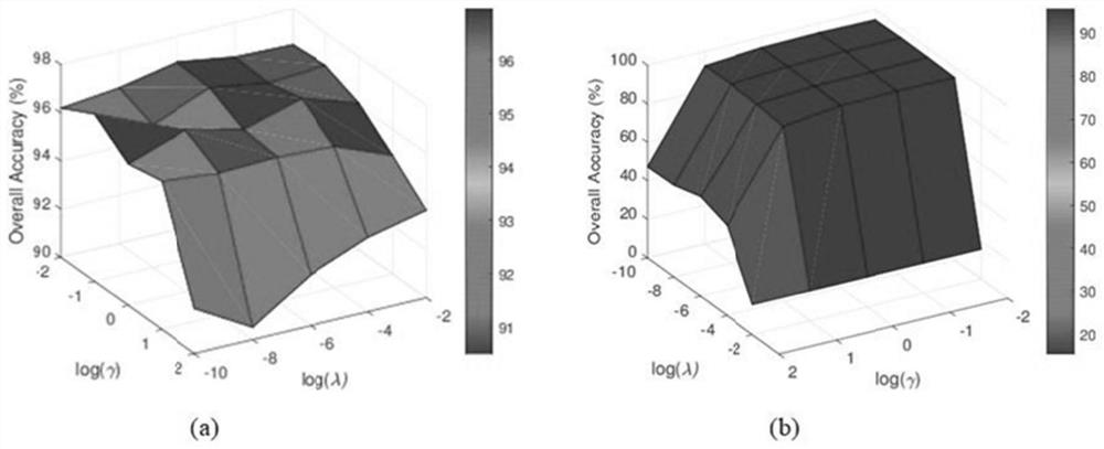 Hyperspectral remote sensing image classification method based on sparse graph regularization