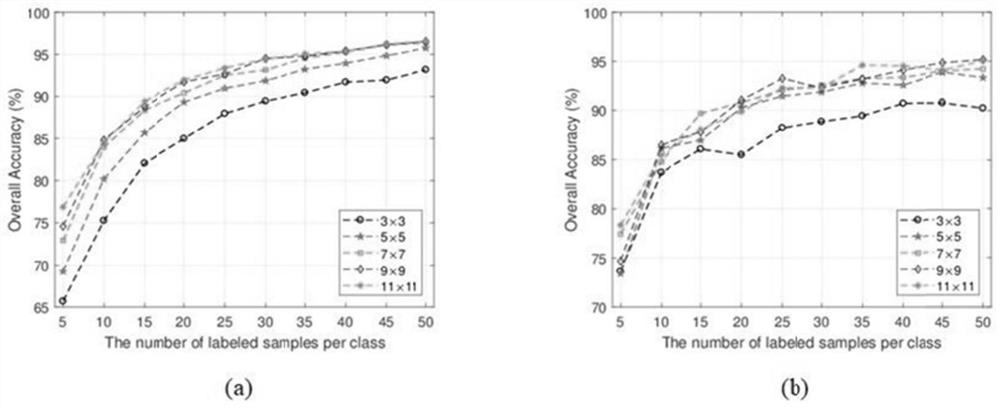 Hyperspectral remote sensing image classification method based on sparse graph regularization