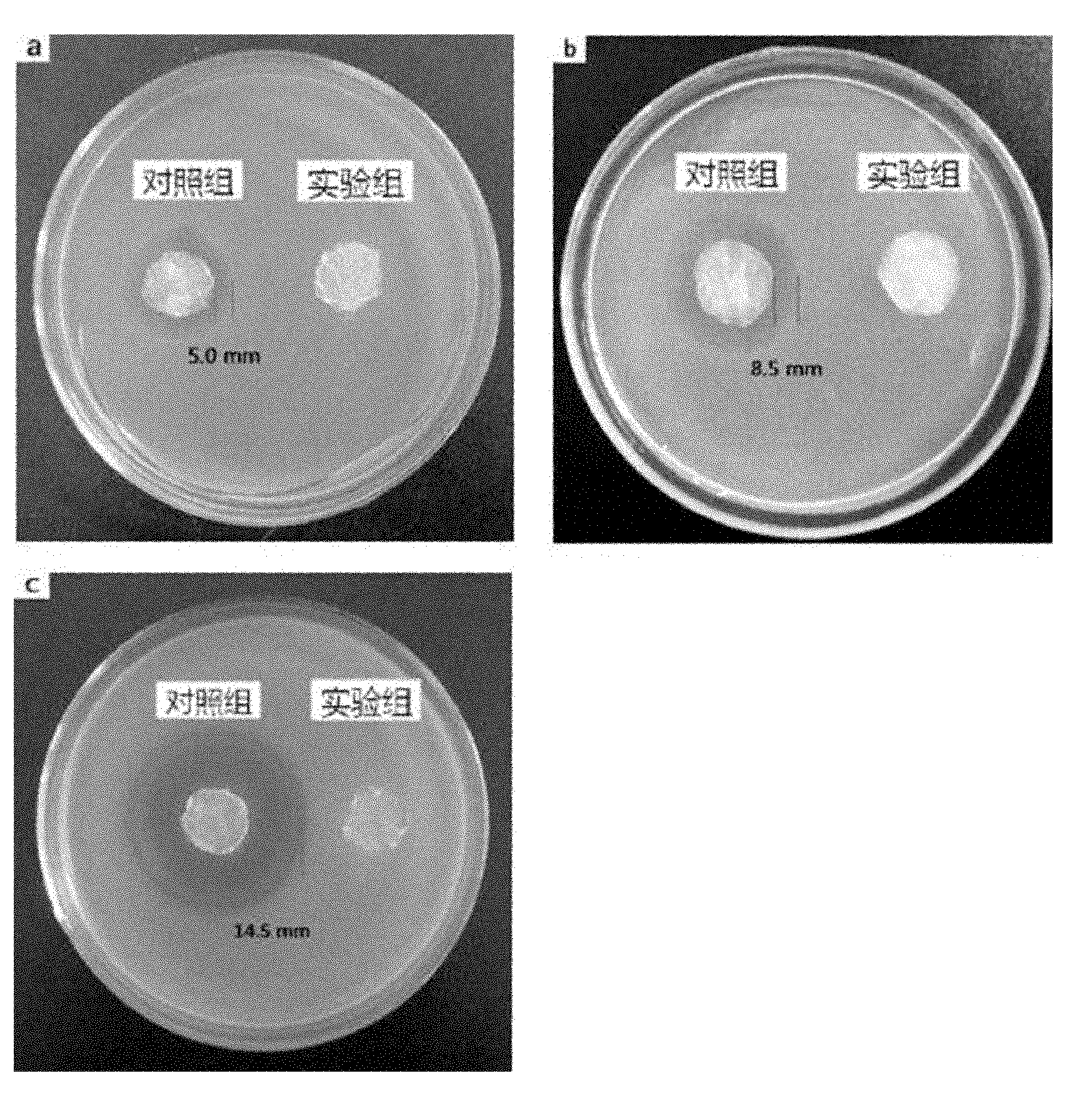 Bacterial cellulose-based antibacterial dry film for acute trauma and preparation method and application thereof