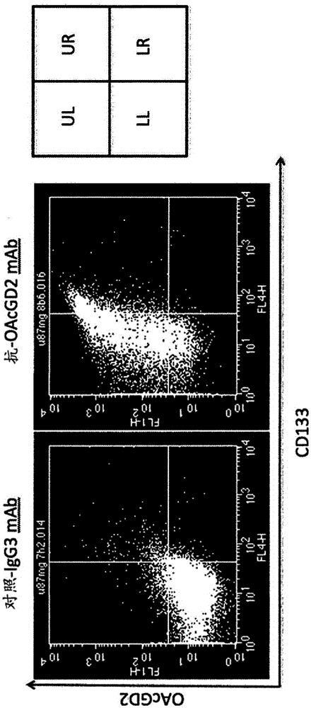 Targeting o-acetylated gd2 ganglioside as a new therapeutic and diagnostic strategy for cancer stem cells cancer