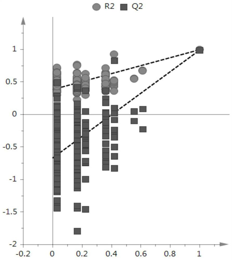 Method for screening characteristic marker from bee pollen extract and application of characteristic marker in identification of bee pollen