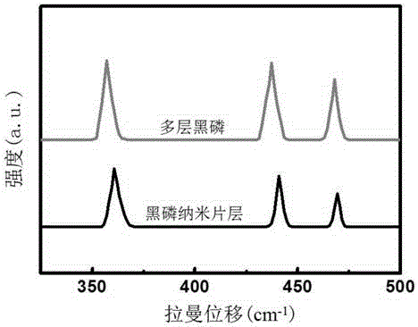 Preparation method of black phosphorus nano lamina for photocatalytic degradation of dye wastewater