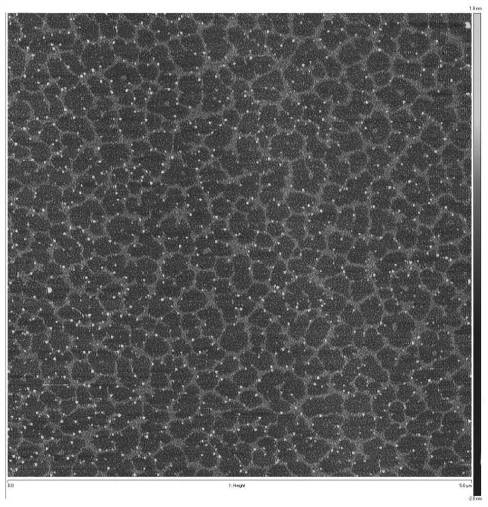 A kind of ophthalmic composition and preparation method thereof