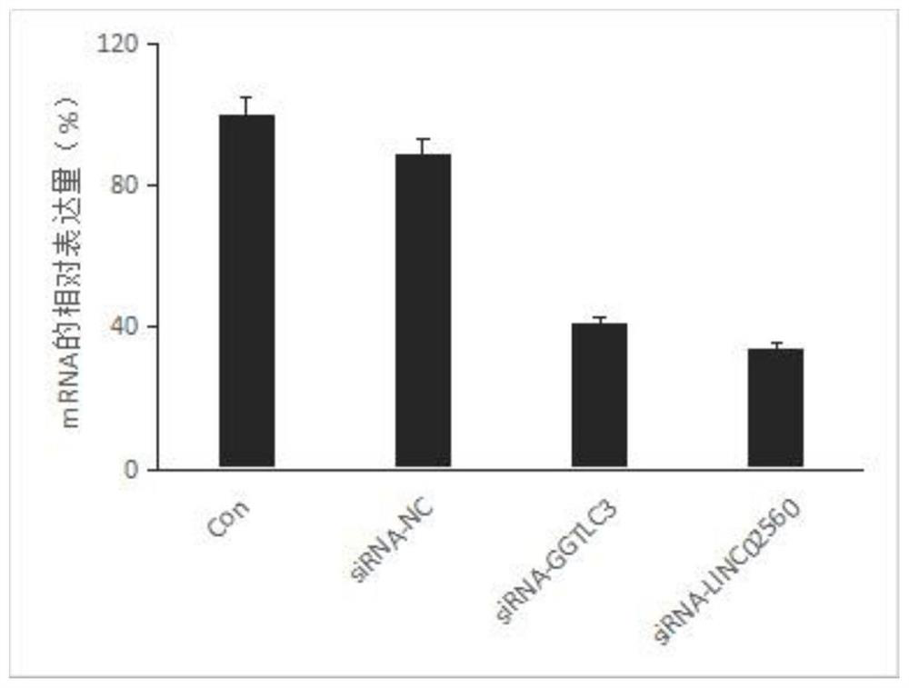 Thyroid cancer related markers and their application