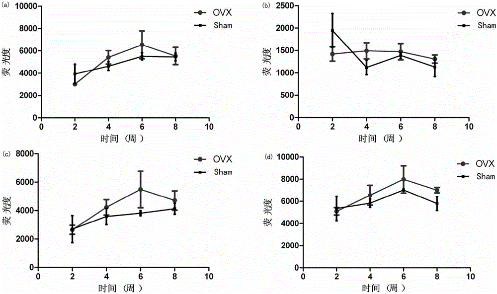 Kit for early prediction of osteoporosis