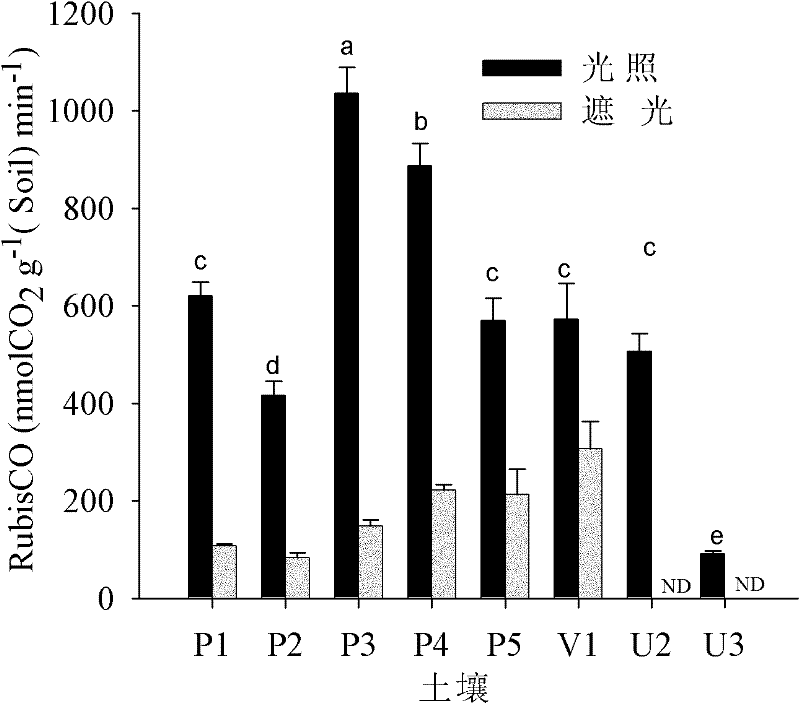 Method for extracting soil mircoorganism carbon-sequestrated enzyme