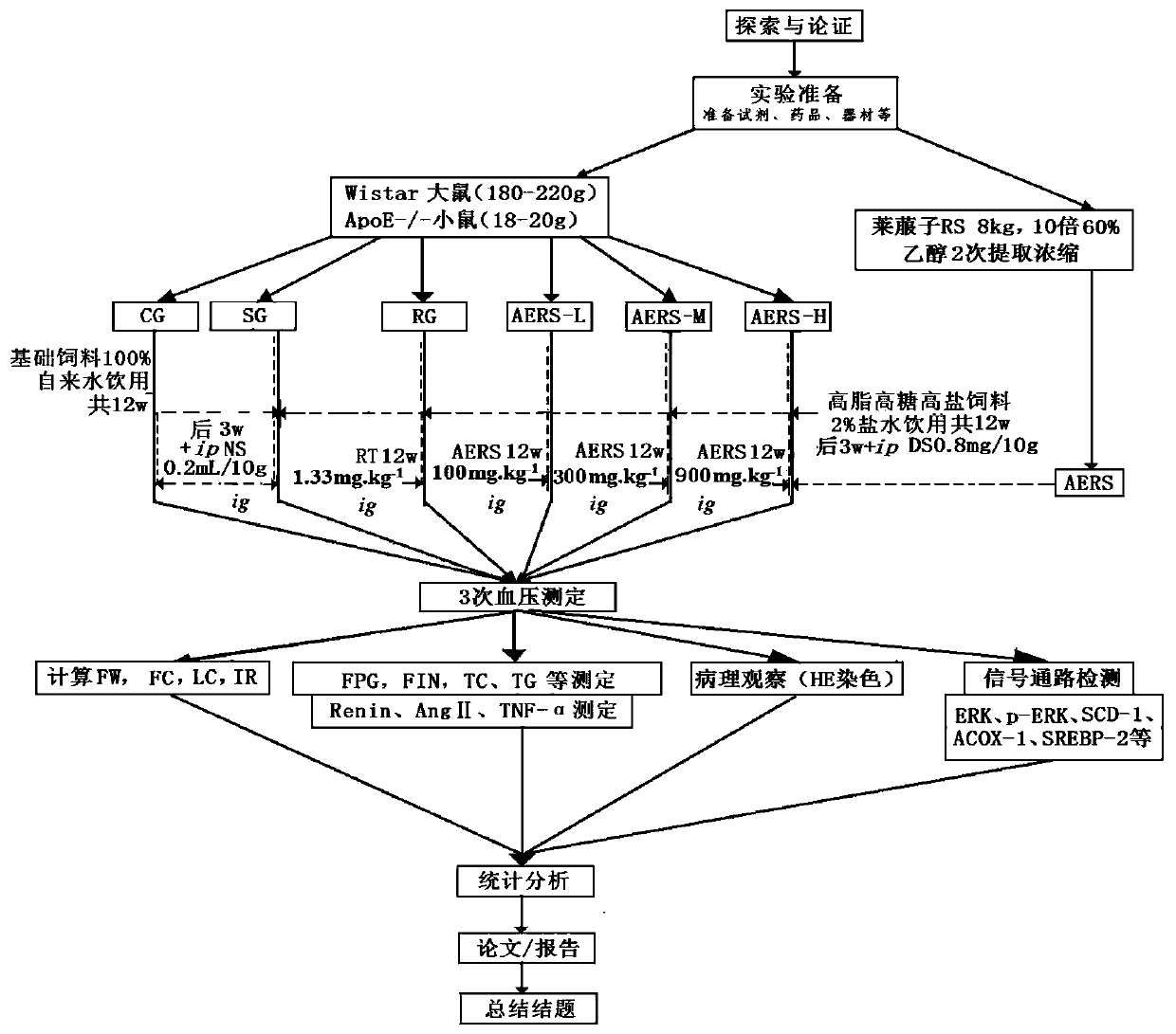 Medicine for preventing or reversing essential hypertension, type 2 diabetes or homologous diseases and construction method of animal model