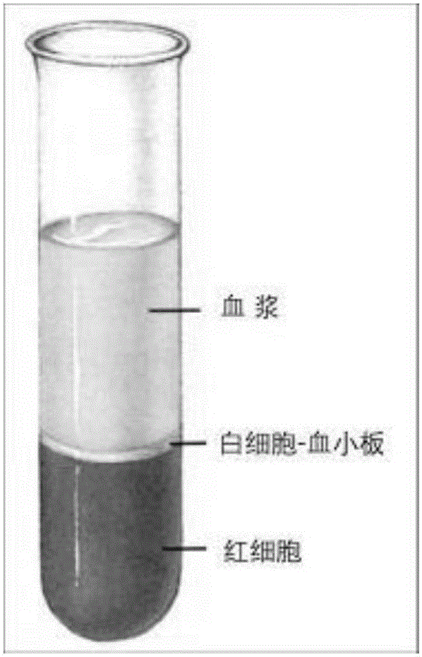 Blood layered identification method