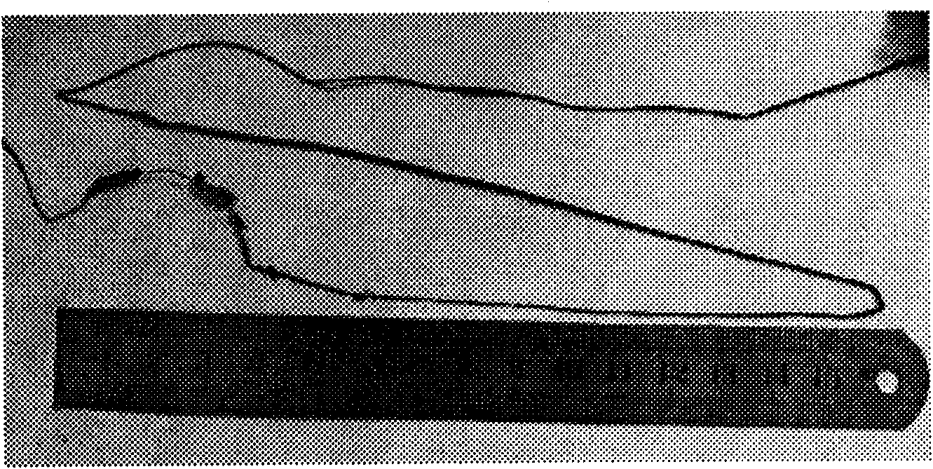 Processing method based on chemical vapor flow spinning method for preparing carbon nanotube fiber in inert atmosphere