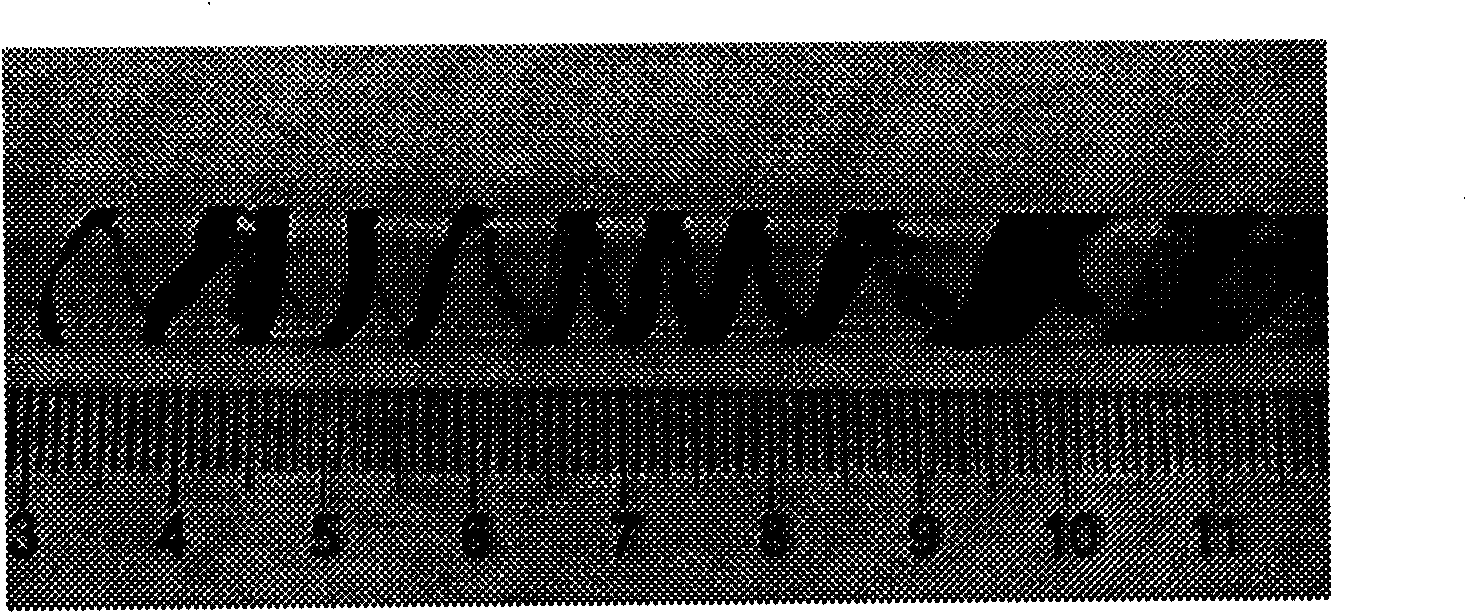 Processing method based on chemical vapor flow spinning method for preparing carbon nanotube fiber in inert atmosphere