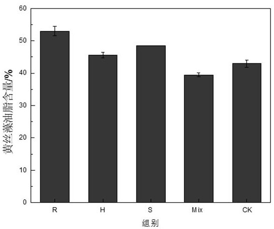 A method for increasing oil content and fatty acid content in Xanthophyllum algae