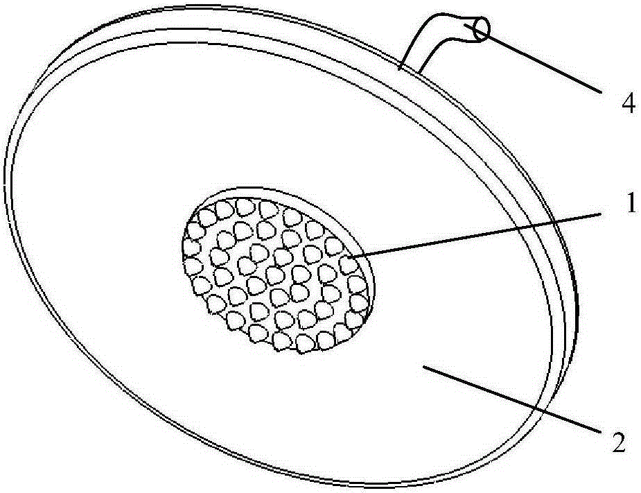 A biomedical electrode with a surface microstructure array and its manufacturing method