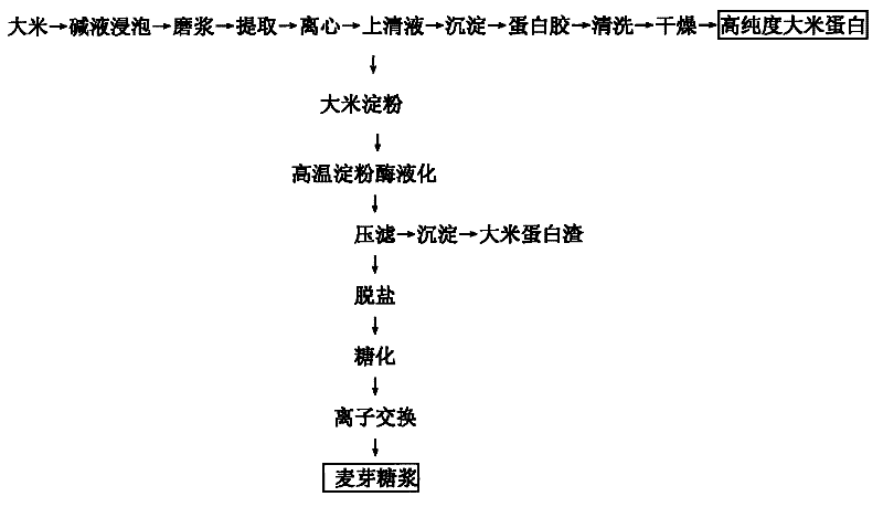 Method for co-producing high-purity rice protein and malt syrup by rice