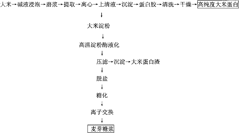 Method for co-producing high-purity rice protein and malt syrup by rice